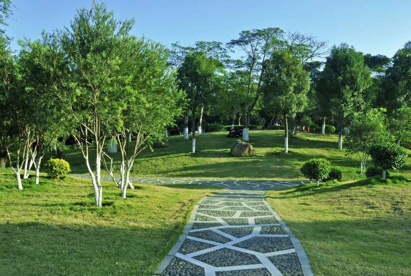 園林工程施工全過(guò)程，你如何來(lái)進(jìn)行