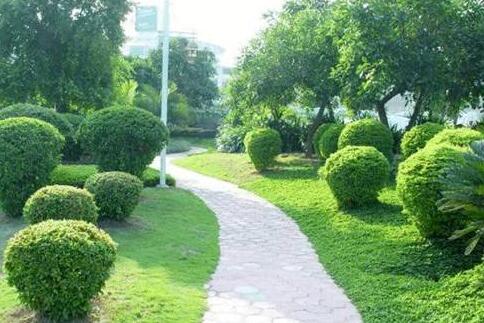 如何控制園林綠化養(yǎng)護(hù)費(fèi)用？