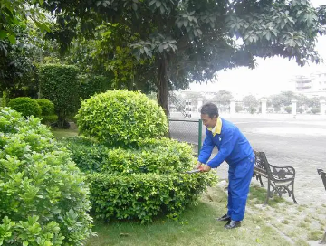 綠化養(yǎng)護如何提高管理水平？