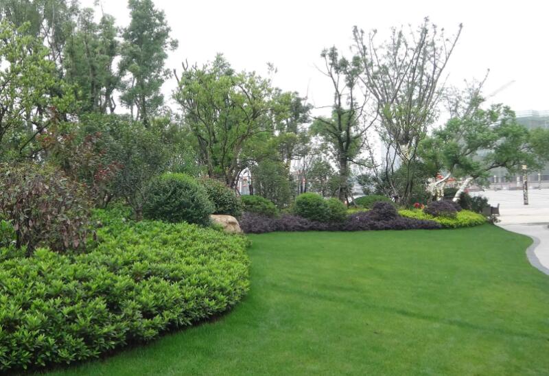 園林綠化工程施工五大細(xì)節(jié)，你了解多少