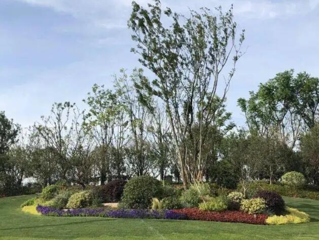 園林綠化工程造價(jià)控制要點(diǎn)有哪些？