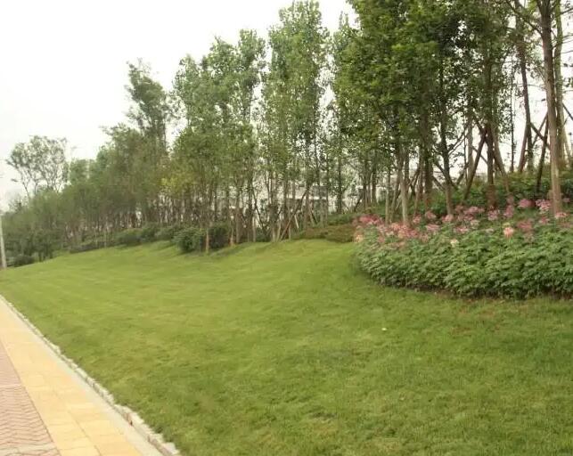 綠化工程的造價(jià)方法有哪些