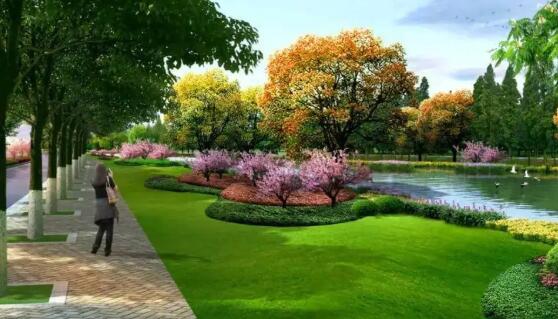 如何做好綠化工程結(jié)算，看這些你就明白了