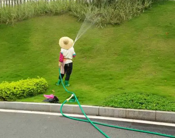 春季園林綠化養(yǎng)護(hù)要點