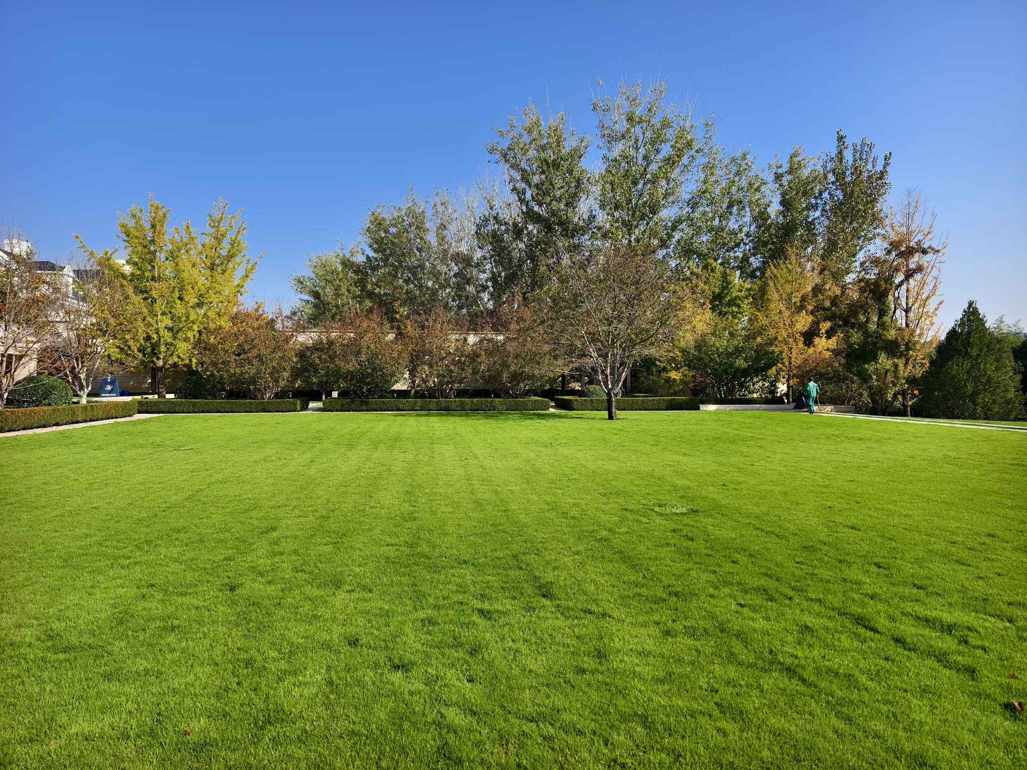 天宏園林入駐石榴滄州綠化項目，共筑城市美好未來