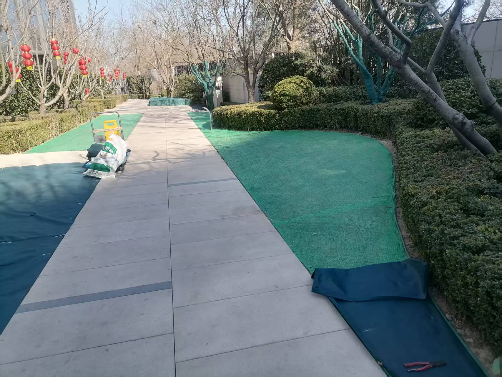 北京春季園林綠化養(yǎng)護(hù)之撤除防寒布