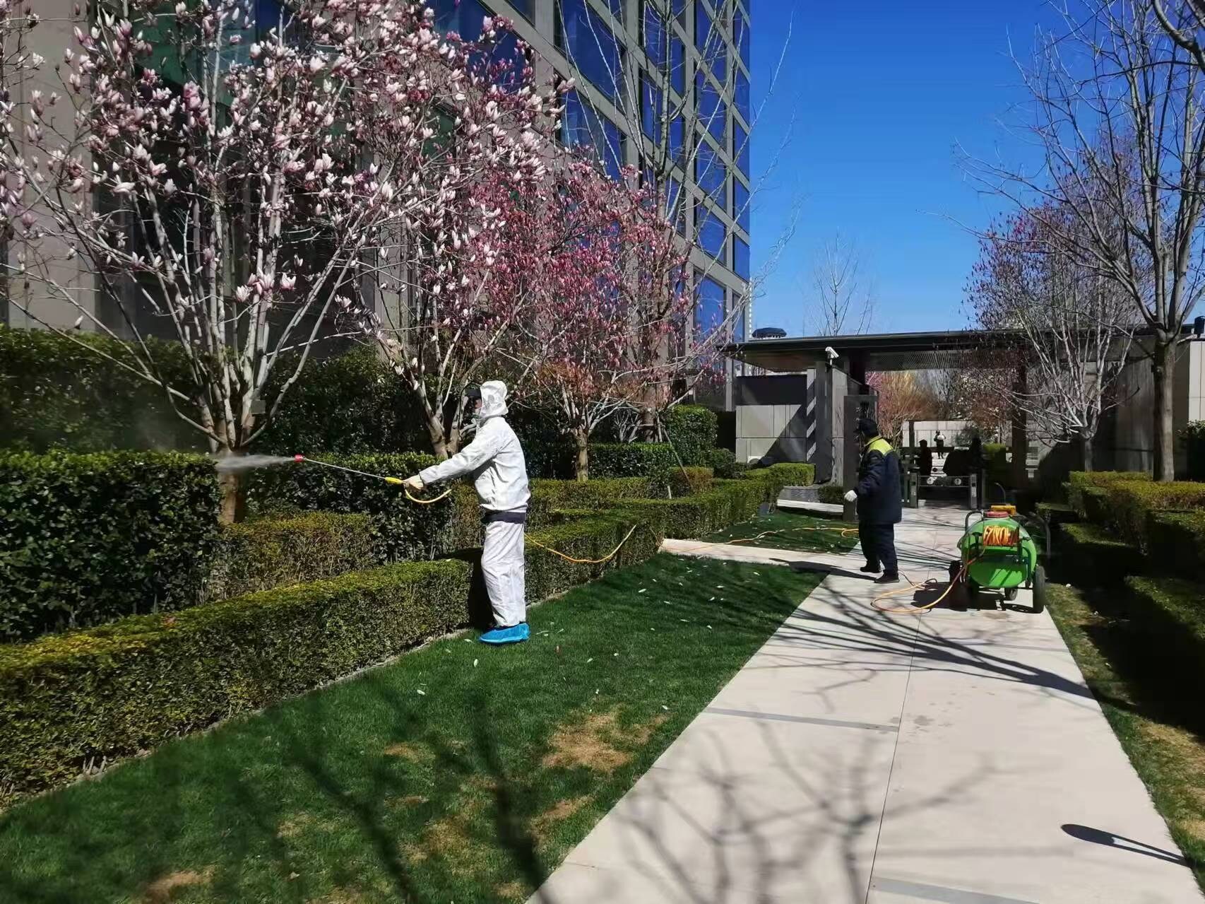 北京春季園林綠化養(yǎng)護(hù)之石硫合劑