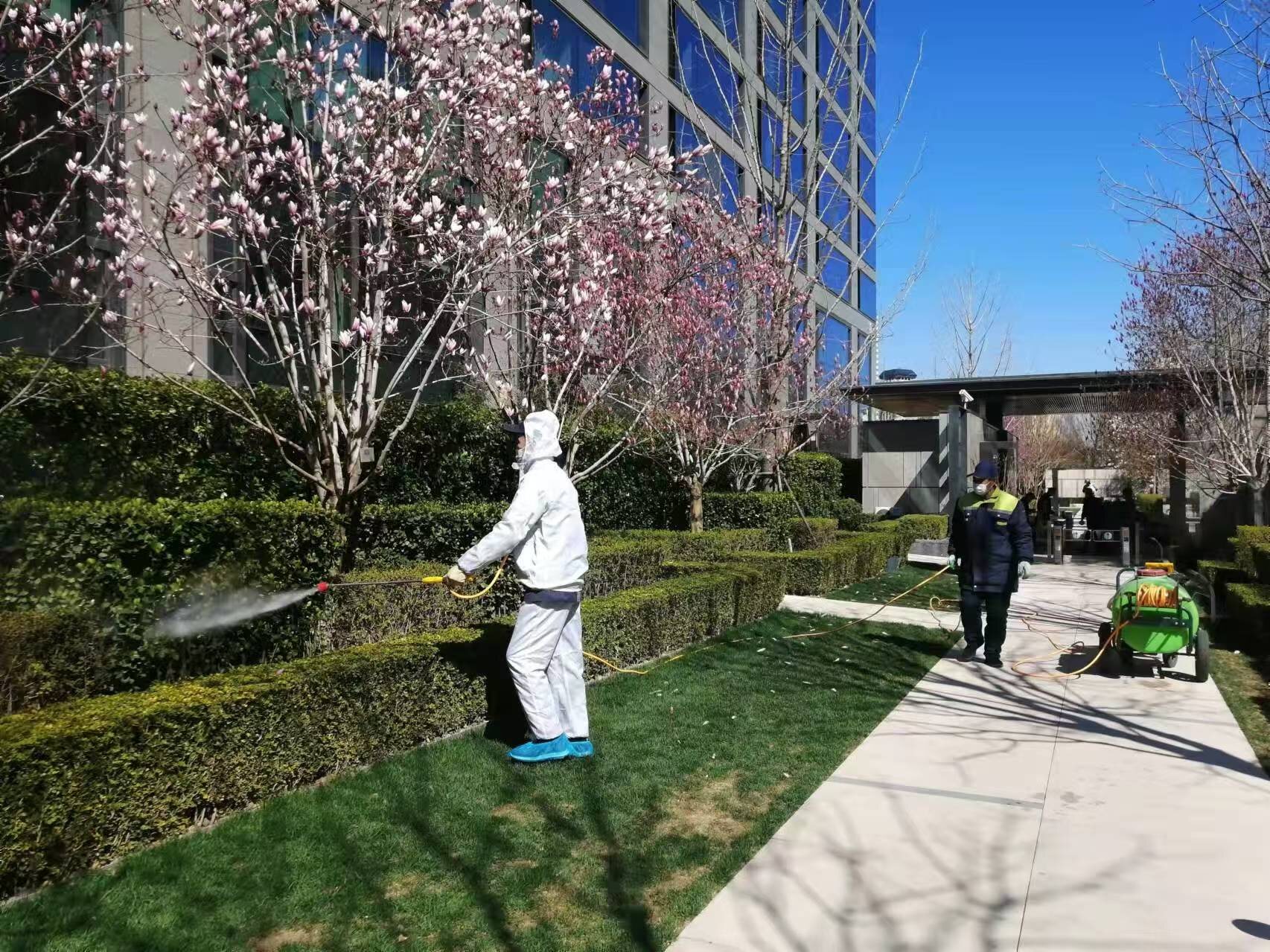 北京春季園林綠化養(yǎng)護(hù)之要點