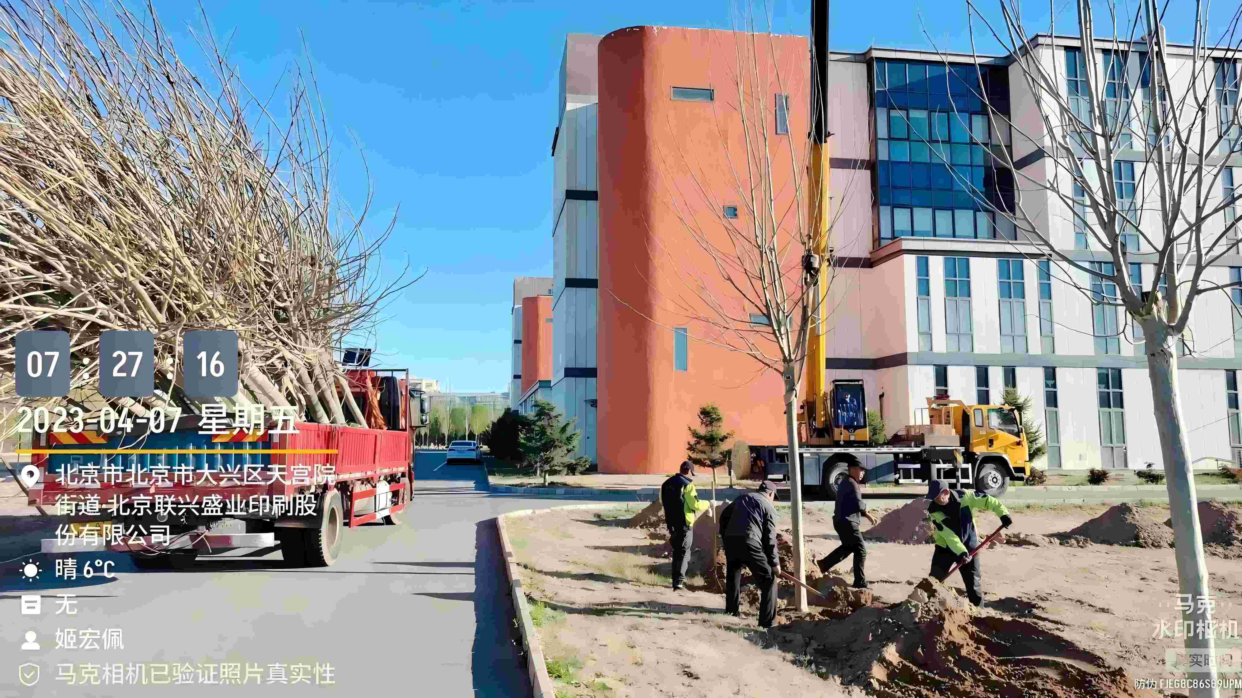 北京春季植樹最好的時間是什么時候？